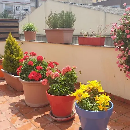 Apartment Vilallonga